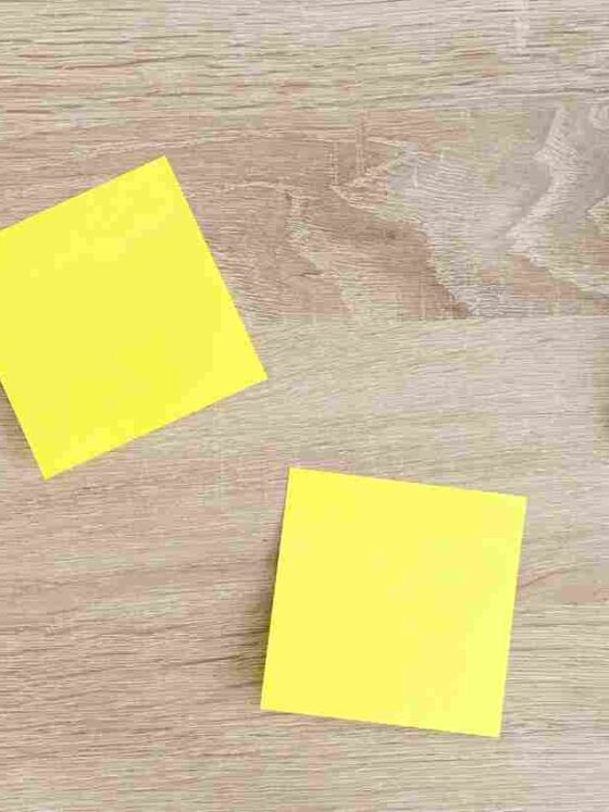The Delegation Learning Curve: What Moves The Needle